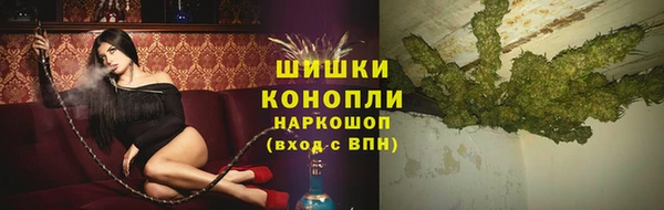 ГАЛЛЮЦИНОГЕННЫЕ ГРИБЫ Заводоуковск
