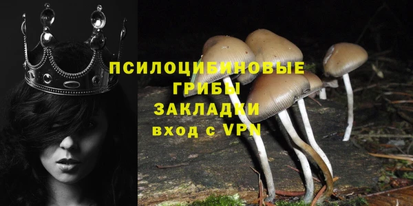 mdpv Пестово