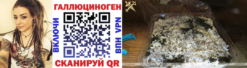 купить наркотик  Ряжск  Галлюциногенные грибы ЛСД 